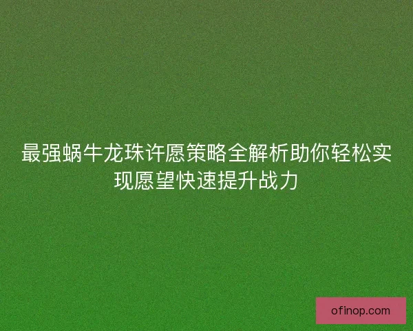 最强蜗牛龙珠许愿策略全解析助你轻松实现愿望快速提升战力