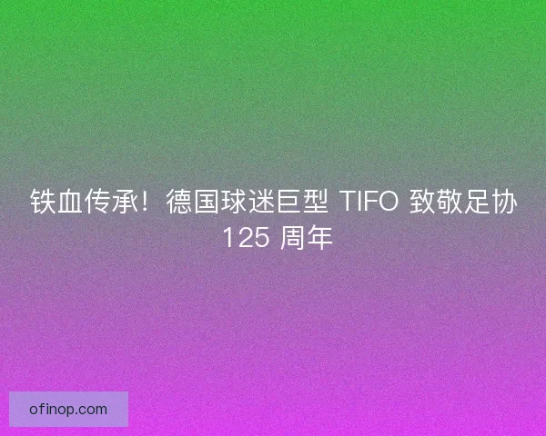 铁血传承！德国球迷巨型 TIFO 致敬足协 125 周年