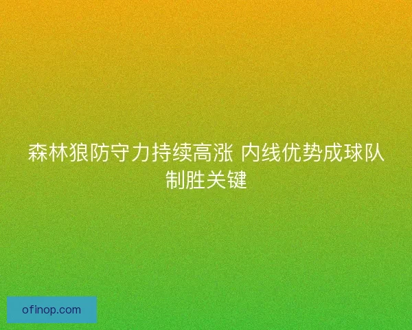 森林狼防守力持续高涨 内线优势成球队制胜关键 森林狼防守力持续高涨 内线优势成球队制胜关键
